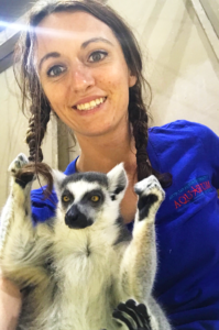 Austin Aquarium Ring Tail Lemur Encounter Experience Top Fun Things to do in Austin Texas