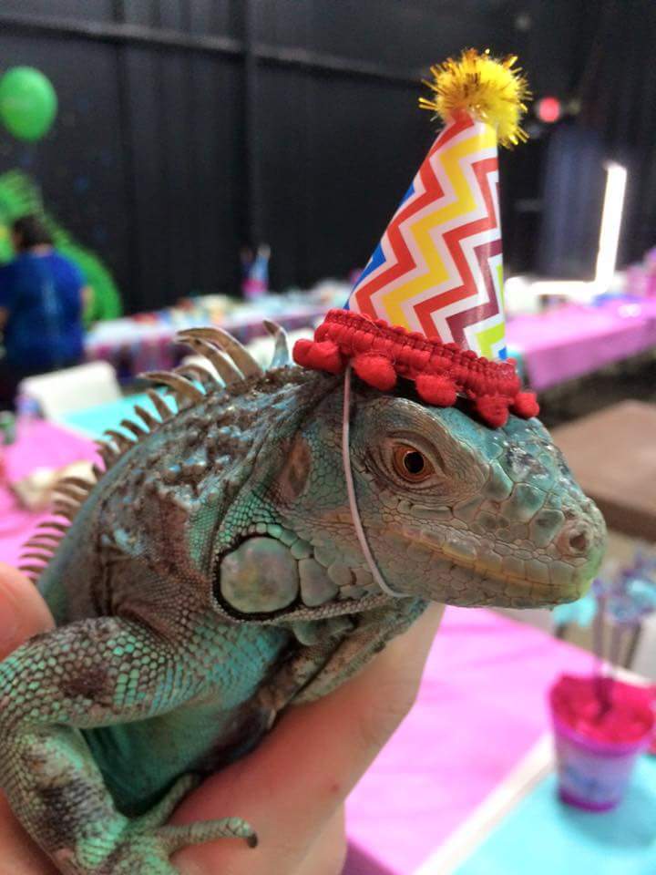 birthday_parties
