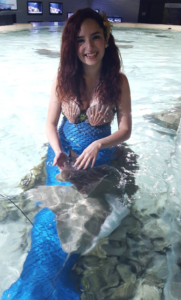 Austin Aquarium Mermaid Encounter
