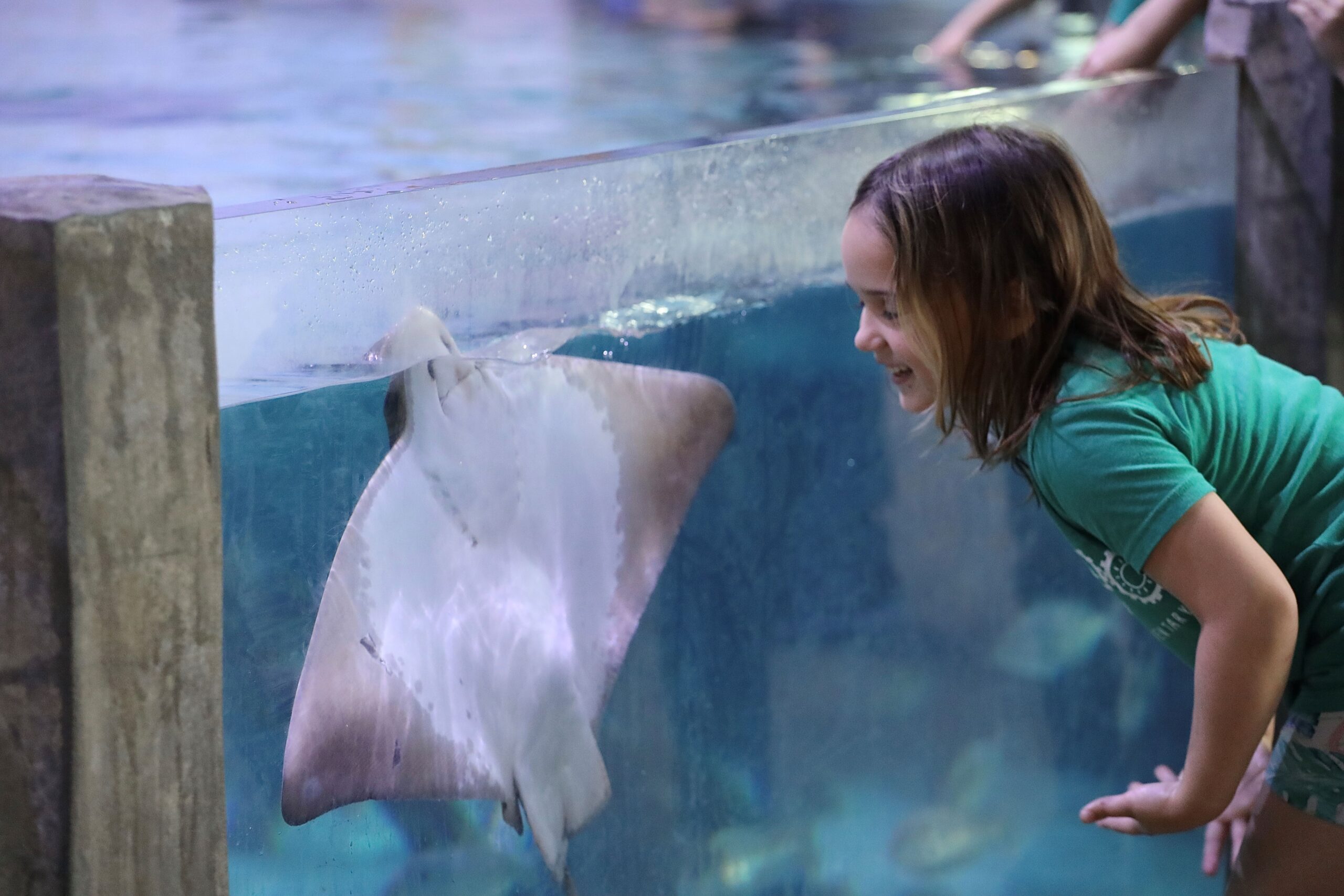 8 Fun Summer Ideas for Kids in Austin