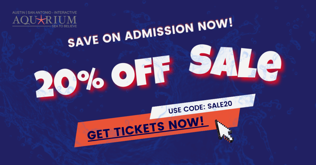 Save 20% off tickets at Austin Aquarium